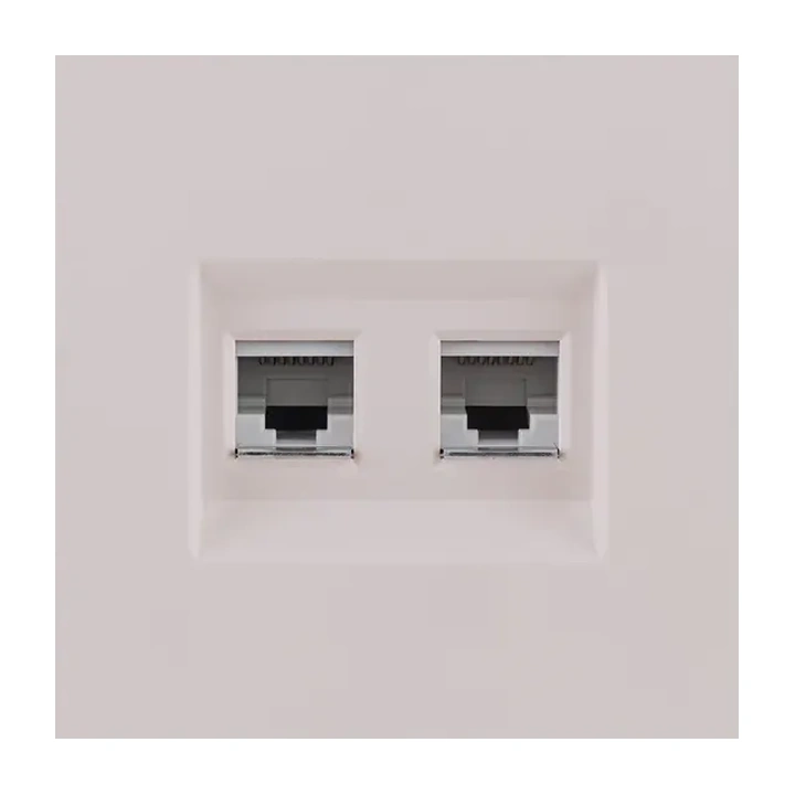 Накладка двойной розетки Ethernet RJ45 Cat.6  Кашемир бархат серия Z
